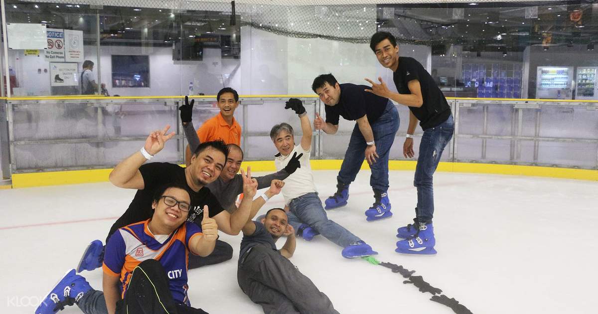 ice skating paradigm price